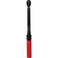 Cl&eacute; dynamom&eacute;trique, &agrave; cliquer, Entraînement 3/8" carr&eacute;, 20 - 100 lb-po/27,1 - 135,6 Nm Helyx Safety & Industrial Supplies