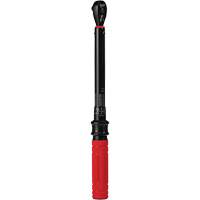 Cl&eacute; dynamom&eacute;trique, &agrave; cliquer, Entraînement 3/8" carr&eacute;, 20 - 100 lb-po/27,1 - 135,6 Nm Helyx Safety & Industrial Supplies