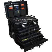 Ensemble de service pour entretien g&eacute;n&eacute;ral, 220 morcea Helyx Safety & Industrial Supplies