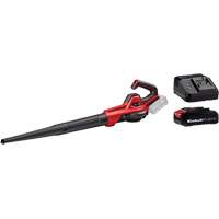 Souffleuse universelle 110 pi3/min sans fil avec batterie 2,5 Ah et ensemble de d&eacute;part de chargeur, 18 V, Vitesse d'air 155,34 mi/h, &agrave; pile Helyx Safety & Industrial Supplies