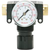 D&eacute;tendeur &agrave; piston en ac&eacute;tal MODULAIR 200, 1/4" NPT, PSI max. de 150 psi, Canalisation/Modulaire Helyx Safety & Industrial Supplies