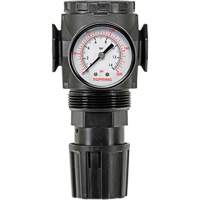 D&eacute;tendeur &agrave; diaphragme en zinc MODULAIR 300, 3/8" NPT, PSI max. de 300 psi, Canalisation/Modulaire Helyx Safety & Industrial Supplies