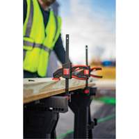 Medium Trigger Clamps Set, 12" (304.8 mm) Helyx Safety & Industrial Supplies
