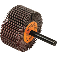 Flap Wheels-Coolcut Flap Wheels, Aluminum Oxide, 120 Grit, 2" x 1" x 1/4" Helyx Safety & Industrial Supplies