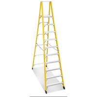 Escabeaux industriels robustes &agrave; plateforme (s&eacute;rie 6500), 12', Cap. De 300 lb Helyx Safety & Industrial Supplies