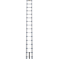Telescopic Ladder, 3' - 15.5', Aluminum, 250 lbs. Capacity, Type 1 Helyx Safety & Industrial Supplies