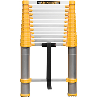 Telescopic Ladder, 3' - 12', Aluminum, 250 lbs. Capacity, Type 1 Helyx Safety & Industrial Supplies