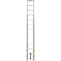 Telescopic Ladder, 3' - 12', Aluminum, 250 lbs. Capacity, Type 1 Helyx Safety & Industrial Supplies