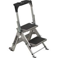 Tilt & Roll Step Stool Ladder, 2 Steps, 23" x 21" x 34.50" High Helyx Safety & Industrial Supplies