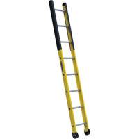 &eacute;chelle &eacute;troite pour trou d'homme, 8', Fibre de verre, 375 lb, CSA calibre 1AA Helyx Safety & Industrial Supplies