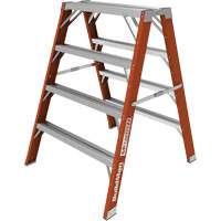 Buildman Step-up Workbench, 4' H x 36.25" W x 40.5" D, 300 lbs. Capacity, Fibreglass Helyx Safety & Industrial Supplies