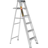 Escabeau avec plateau &agrave; peinture, 6', Aluminium, Capacit&eacute; 225 lb, Type 2 Helyx Safety & Industrial Supplies