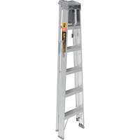 Escabeau avec plateau &agrave; peinture, 6', Aluminium, Capacit&eacute; 225 lb, Type 2 Helyx Safety & Industrial Supplies