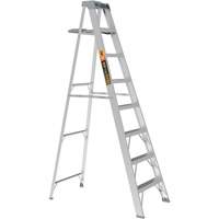 Escabeau avec plateau &agrave; peinture, 8', Aluminium, Capacit&eacute; 225 lb, Type 2 Helyx Safety & Industrial Supplies