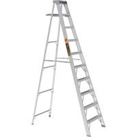 Escabeau avec plateau &agrave; peinture, 10', Aluminium, Capacit&eacute; 225 lb, Type 2 Helyx Safety & Industrial Supplies