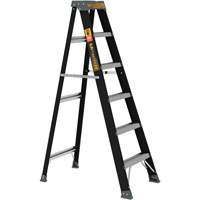 Escabeau, 6', Fibre de verre, Capacit&eacute; 250 lb, Type 1 Helyx Safety & Industrial Supplies