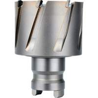 Fraise avec tenon &agrave; changement rapide Drive Hawg, Diam&egrave;tre de 2", Acier, Profondeur de la coupe de 1" Helyx Safety & Industrial Supplies