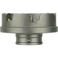 Cisaille pour la t&ocirc;le &agrave; changement rapide, Diam&egrave;tre de 3/4", Carbure, Profondeur de la coupe de 3/16" Helyx Safety & Industrial Supplies