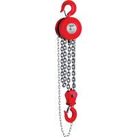 Palan &agrave; chaîne, Lev&eacute;e 8', Capacit&eacute; 11023 lb (5 tonnes) Helyx Safety & Industrial Supplies