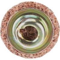 Standard Abrasives Quick-Change Surface Conditioning Disc, 3/4" Dia., Coarse Grit, Aluminum Oxide Helyx Safety & Industrial Supplies