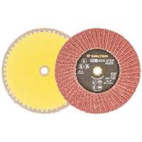 QUICK-STEP FLEX, 5" x Type 29, Grain 40, Oxyde d'aluminium Helyx Safety & Industrial Supplies