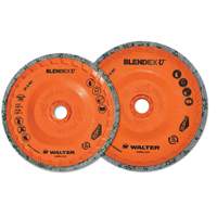 Blendex U Finishing Cup Disc, 4-1/2" Dia., Fine Grit, Silicon Carbide Helyx Safety & Industrial Supplies