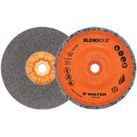 Blendex U Finishing Cup Disc, 5" Dia., Fine Grit, Silicon Carbide Helyx Safety & Industrial Supplies