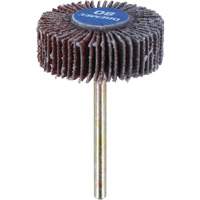 M&egrave;che de ponçage &agrave; roue &agrave; lamelles 3/8" - grain 80 Helyx Safety & Industrial Supplies