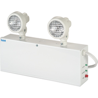 Lampes de secours Nova, Acier, Incandescente, 120 V - 347 V Helyx Safety & Industrial Supplies