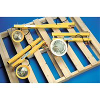 Lampes pour les quais, Bras 60", Ampoule Incandescente, M&eacute;tal Helyx Safety & Industrial Supplies