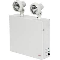 Lampes de secours Nova, Acier, DEL, 120 V - 347 V Helyx Safety & Industrial Supplies