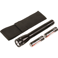 Lampes de poche Mini, Incandescente, 14 lumens, Piles AA Helyx Safety & Industrial Supplies