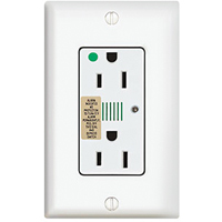 Hospital Grade Surge Protective Receptacle - 120V, 15A Duplex Helyx Safety & Industrial Supplies