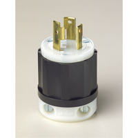 Industrial Grade Locking Device, Nylon, 30 Amps, 125 V, L5-30P Helyx Safety & Industrial Supplies