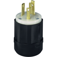 Industrial Grade Locking Device, Nylon, 30 A, 250 V, L6-30P Helyx Safety & Industrial Supplies