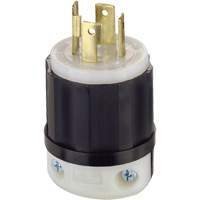 3-Pole 4-Wire Grounding Locking Plug, Nylon, 30 Amps, 250 V, L15-30P Helyx Safety & Industrial Supplies