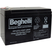 Blocs-piles scell&eacute;s au plomb-acide, 12 V, 7,2 Ah Helyx Safety & Industrial Supplies