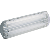 Lampes Vapor-Tight s&eacute;rie BS100 Illumina, Polycarbonate, 120 V Helyx Safety & Industrial Supplies