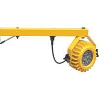 Lampes pour quais de chargement robustes, Bras 24", 300 W, Ampoule DEL, M&eacute;tal Helyx Safety & Industrial Supplies