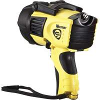 Projecteurs style pistolet Waypoint, DEL, 550 Lumens, Piles C Helyx Safety & Industrial Supplies