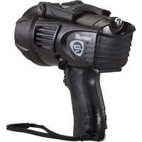 Projecteurs style pistolet Waypoint, DEL, 550 Lumens, Piles C Helyx Safety & Industrial Supplies