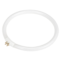 Replacement Fluorescent Bulb for Rhinomag Illuminated Magnifiers, 22 W Helyx Safety & Industrial Supplies