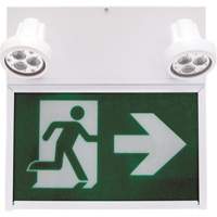 Running Man Exit Sign, LED, Battery Operated/Hardwired, 12" L x 12 1/2" W, Pictogram Helyx Safety & Industrial Supplies