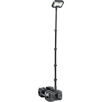 Syst&egrave;mes d'&eacute;clairage &agrave; distance 9490, DEL, 53,3 W, 6000 lumens, Boîtier en Plastique Helyx Safety & Industrial Supplies