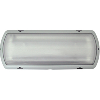 Luminaire de secours Tempesta, Plastique, DEL, 120 - 347 V Helyx Safety & Industrial Supplies