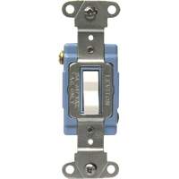 Industrial Grade 3-Way Toggle Switch Helyx Safety & Industrial Supplies