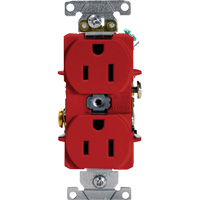Industrial Grade Duplex Outlet Helyx Safety & Industrial Supplies