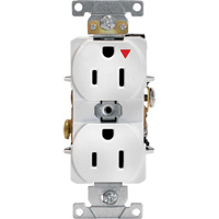 Industrial Grade Isolated Duplex Outlet Helyx Safety & Industrial Supplies