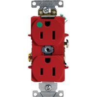 Hospital Grade Duplex Outlet Helyx Safety & Industrial Supplies