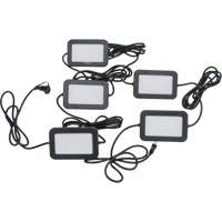 LED String Work Lights, 5 Lights, 50' L, Plastic Housing Helyx Safety & Industrial Supplies